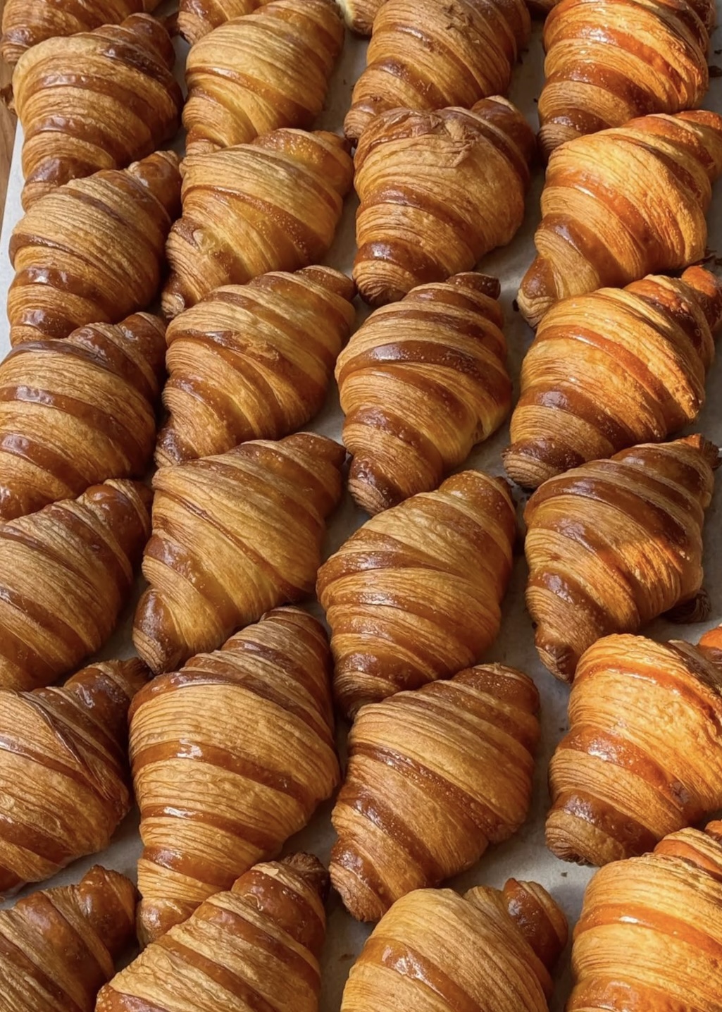 Brioche fresche del Caffé Vintage